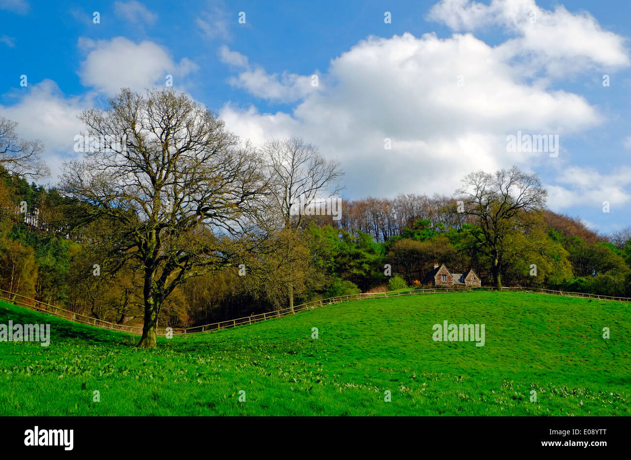 Bulkley Hills Cheshire England UK England EU Europäische Union Europa Stockfoto