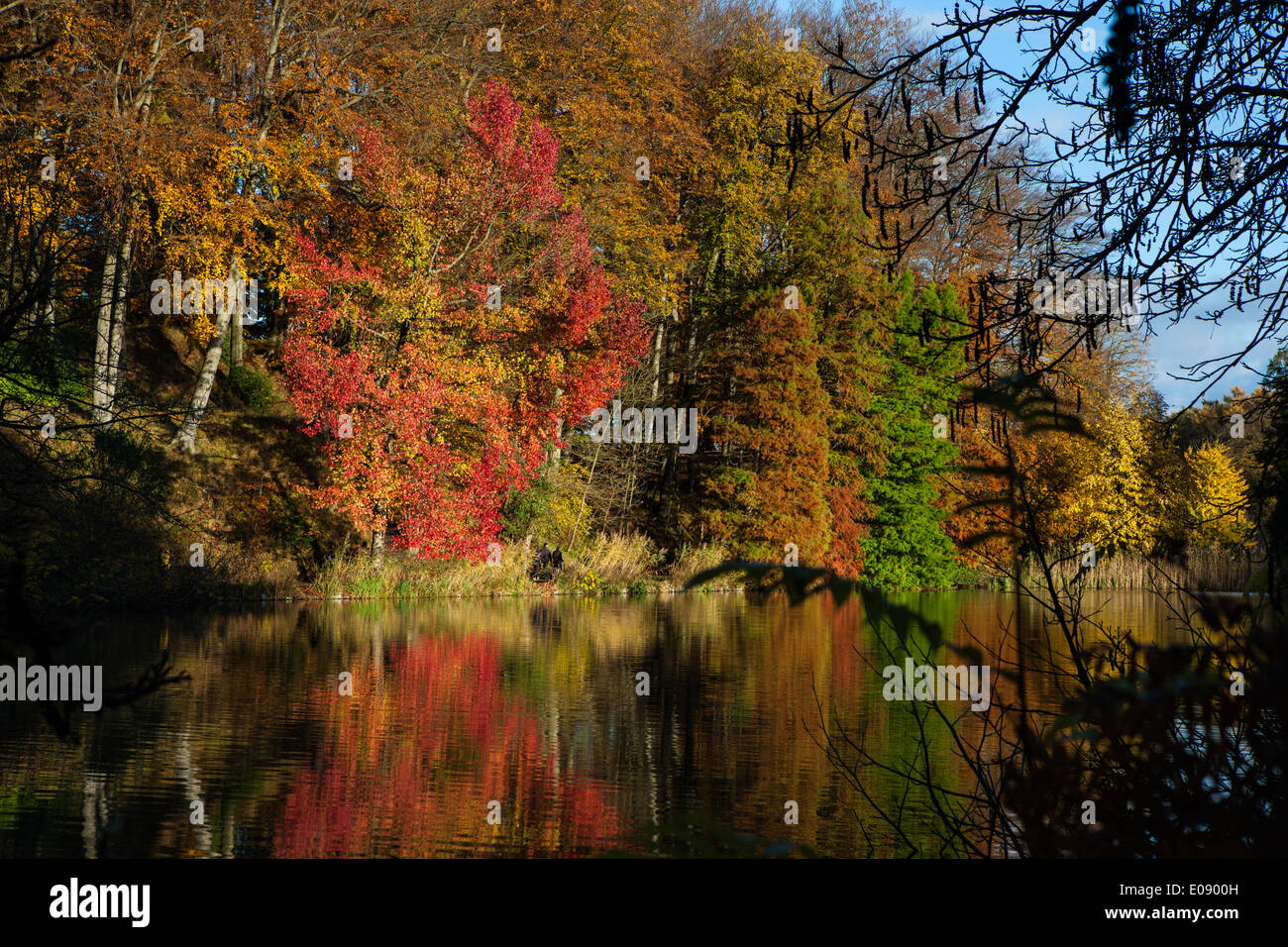 Herbst Spiegelungen im See im Chateau De La Hulpe, Etang De La Longue Queue, in der Nähe von Brüssel, Belgien. Stockfoto