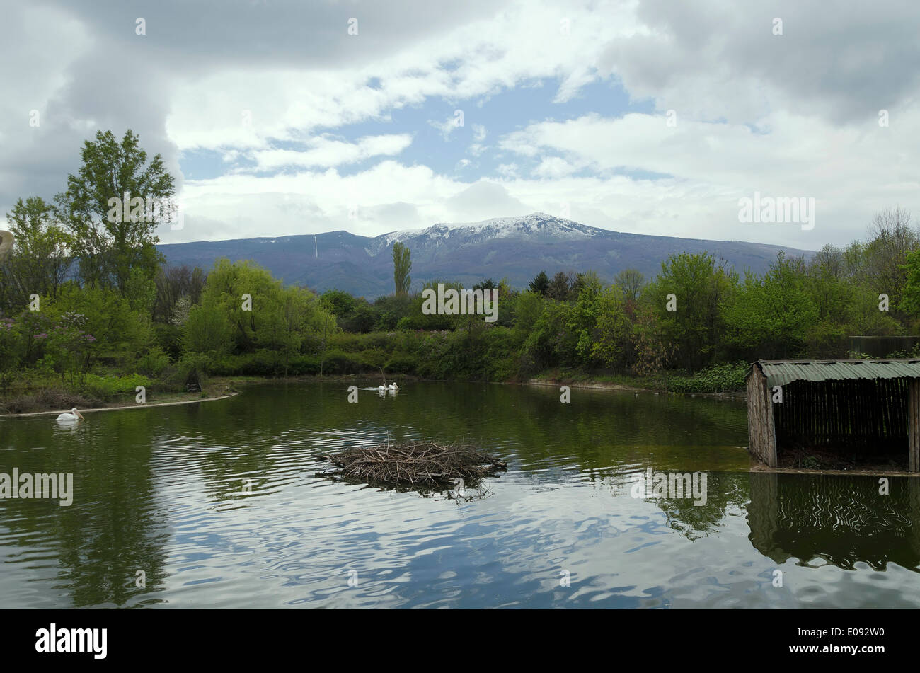 Frühlings-Landschaft in Sofia Zoo mit Blick für den Vitosha Berg, Bulgarien Stockfoto