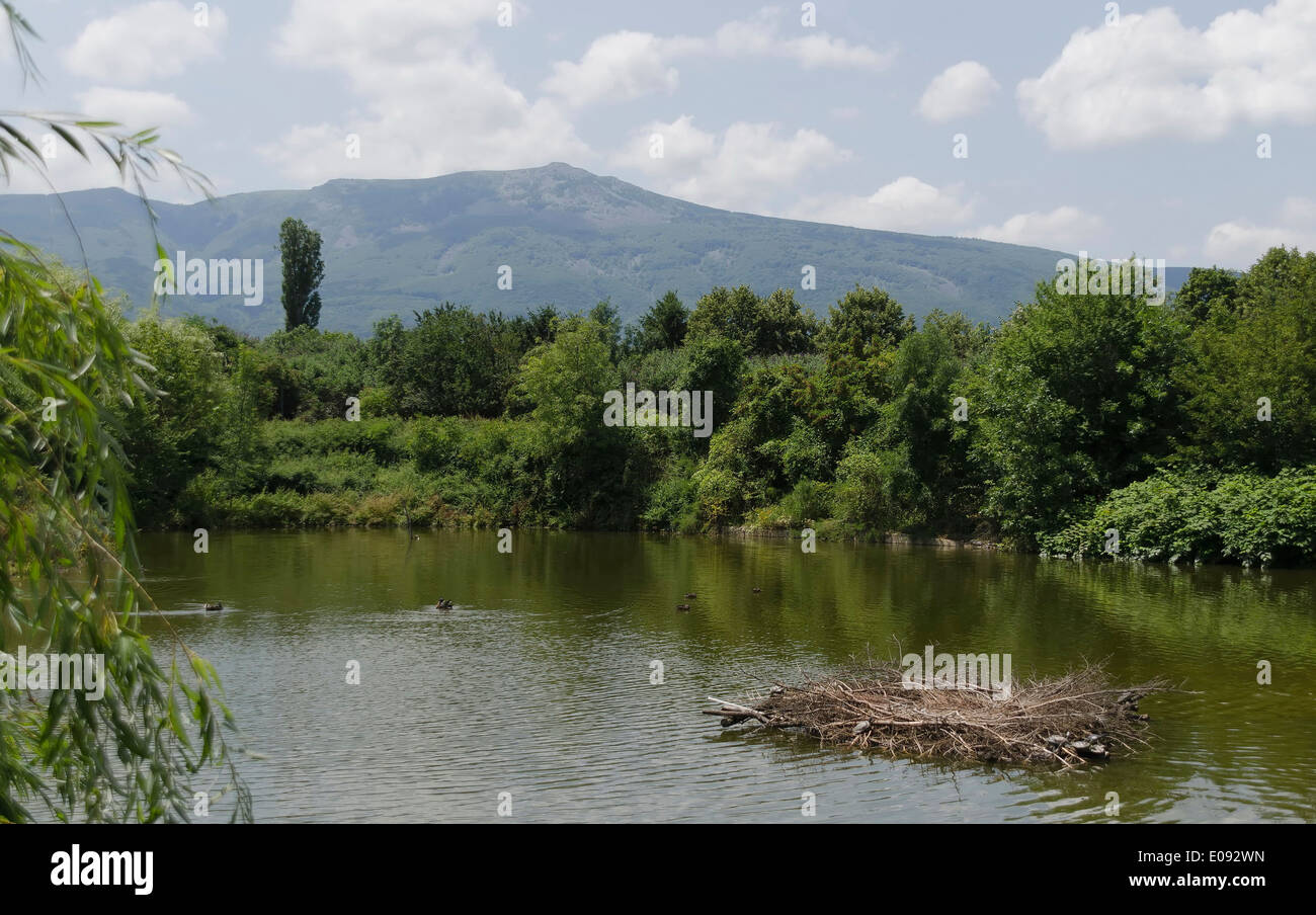 Frühlings-Landschaft in Sofia Zoo mit Blick für den Vitosha Berg, Bulgarien Stockfoto