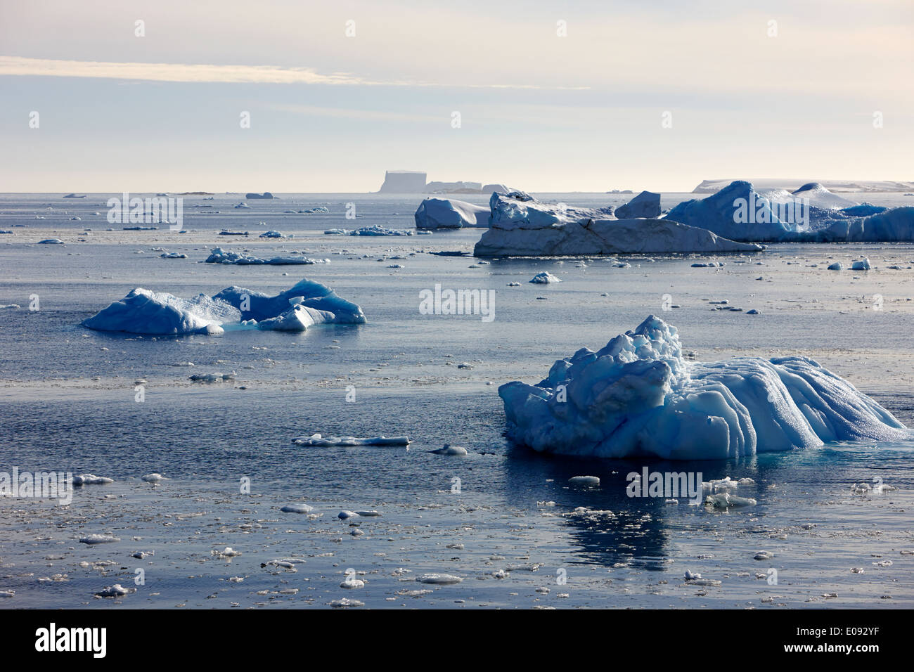 dreiste Eis und Eisberge in der französischen Passage Antarktis Stockfoto