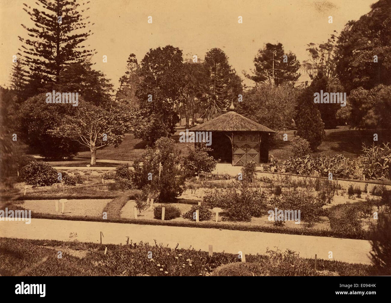 [Sydney botanischen Garten ca. 1879-1882] Stockfoto