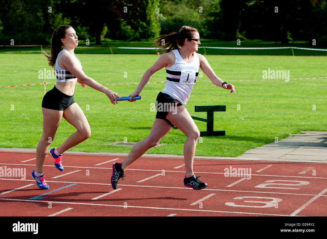 Leichtathletik, Läufer vorbei Baton in Frauen 4X400m Staffelrennen auf Vereinsebene, UK Stockfoto
