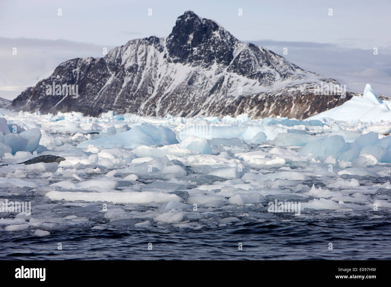 dreiste Meer Packeis bilden zusammen als Winter nähert sich Cierva Bucht Antarktis Stockfoto