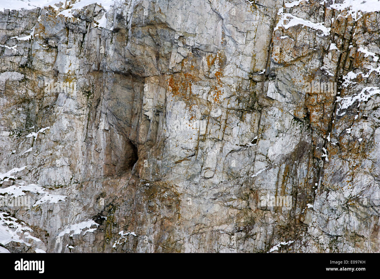 Antarktis Granodiorit Tonalit Gesteinsschichten Cierva Cove mit Flechten Stockfoto