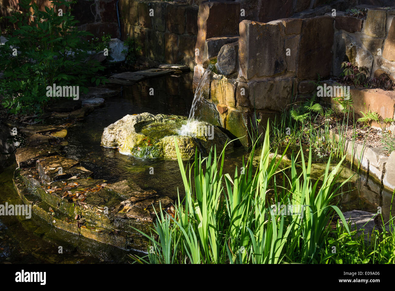 Einen kleinen Brunnen in der Lady Bird Johnson Wildflower Center. Austin, Texas, USA. Stockfoto