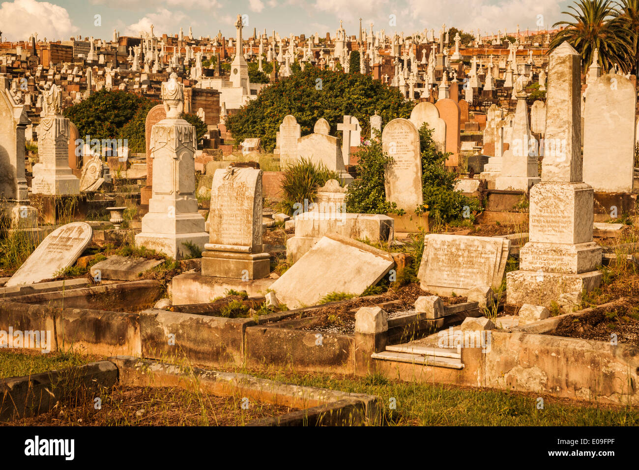 Australien, Sydney, Grabsteine auf Clovally Friedhof Stockfoto