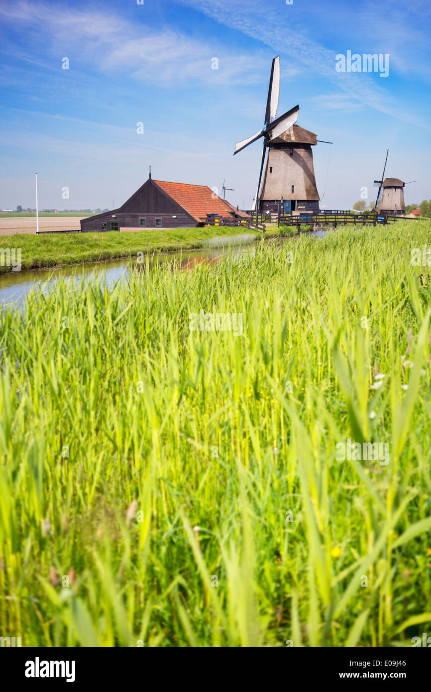 Traditionelle holländische Windmühlen an einem hellen, sonnigen Tag Stockfoto