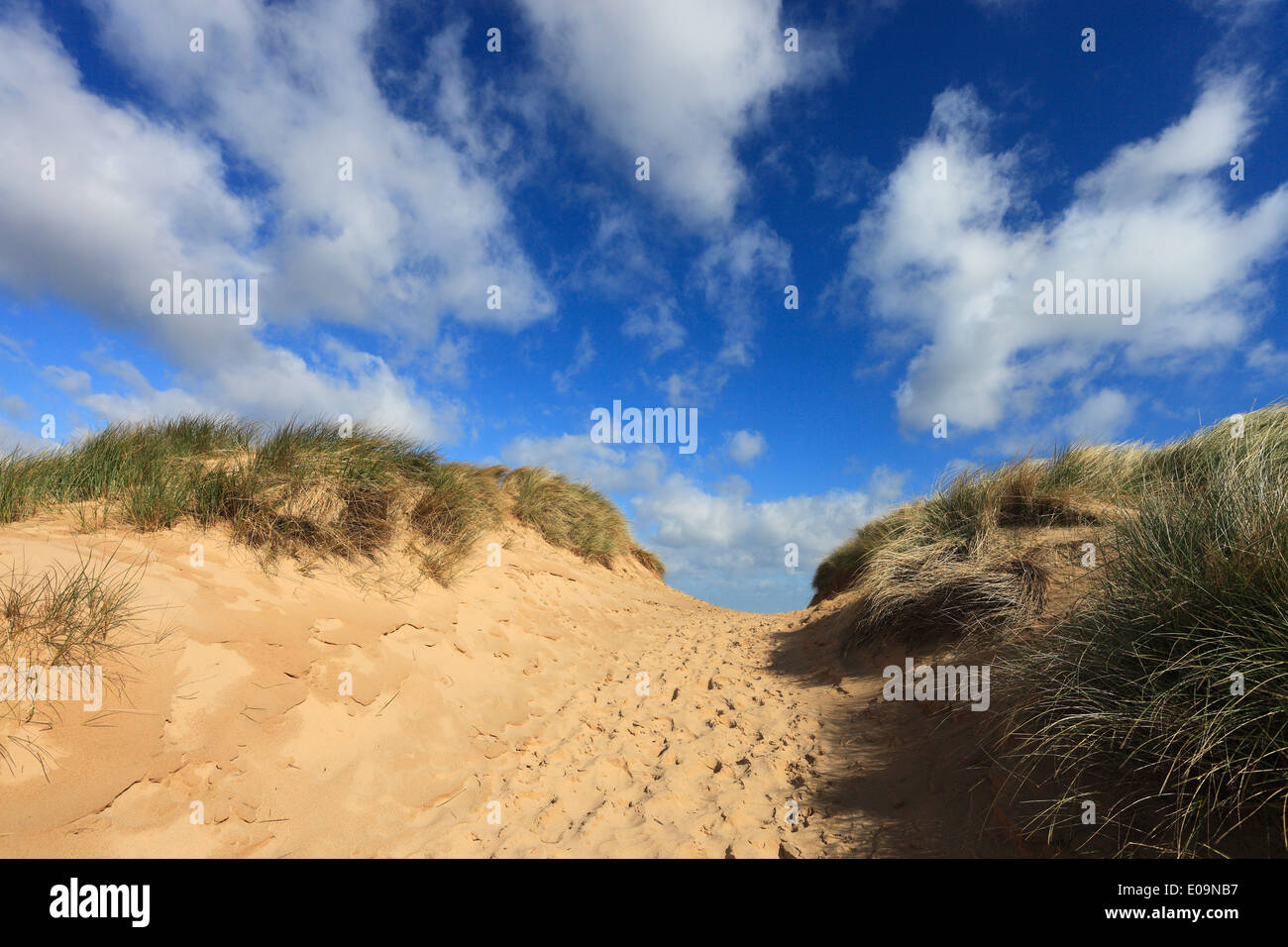 Weg über die Sanddünen in Burnham Overy an der North Norfolk-Küste. Stockfoto