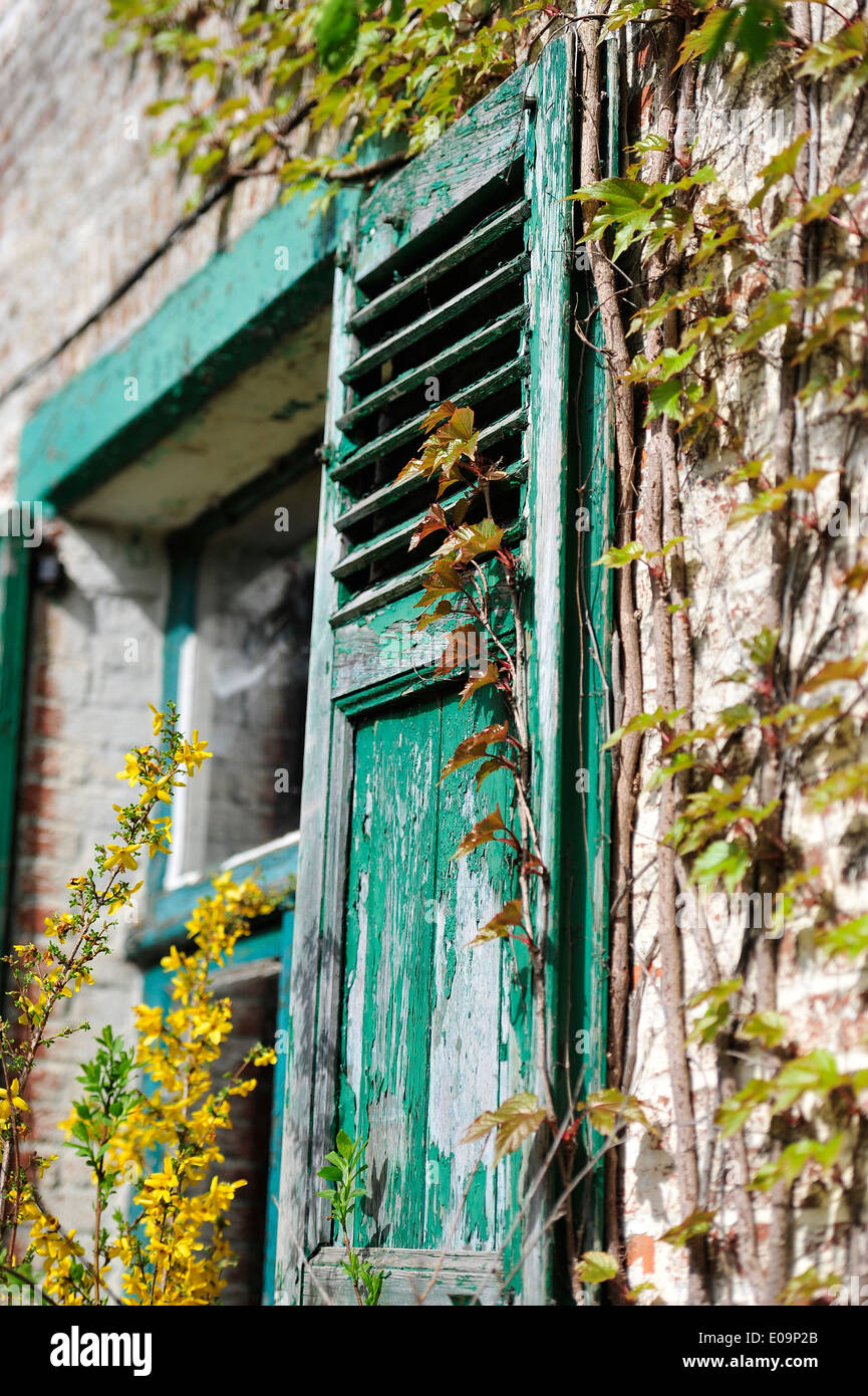 alte Fensterläden auf einem belgischen Bauernhaus Stockfoto