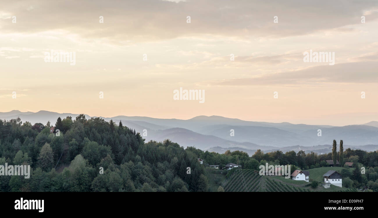 Österreich, Südsteiermark, Landschaft am Abend Stockfoto