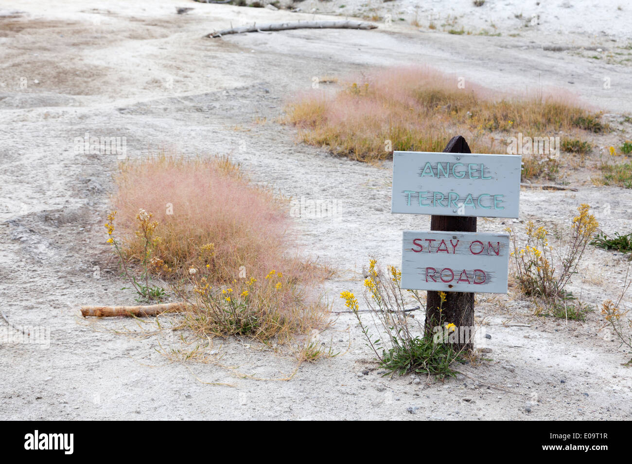 Schild an der Angel Terrace, Mammoth Hot Springs Gegend, Yellowstone-Nationalpark Stockfoto