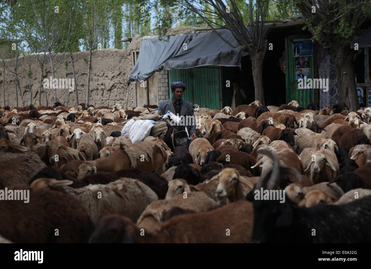 Badakhshan. 6. Mai 2014. Ein afghanischer Mann steht mit seinen Schafen in Badakhshan Provinz Nordosten Afghanistans am 6. Mai 2014. © Ahmad Massoud/Xinhua/Alamy Live-Nachrichten Stockfoto