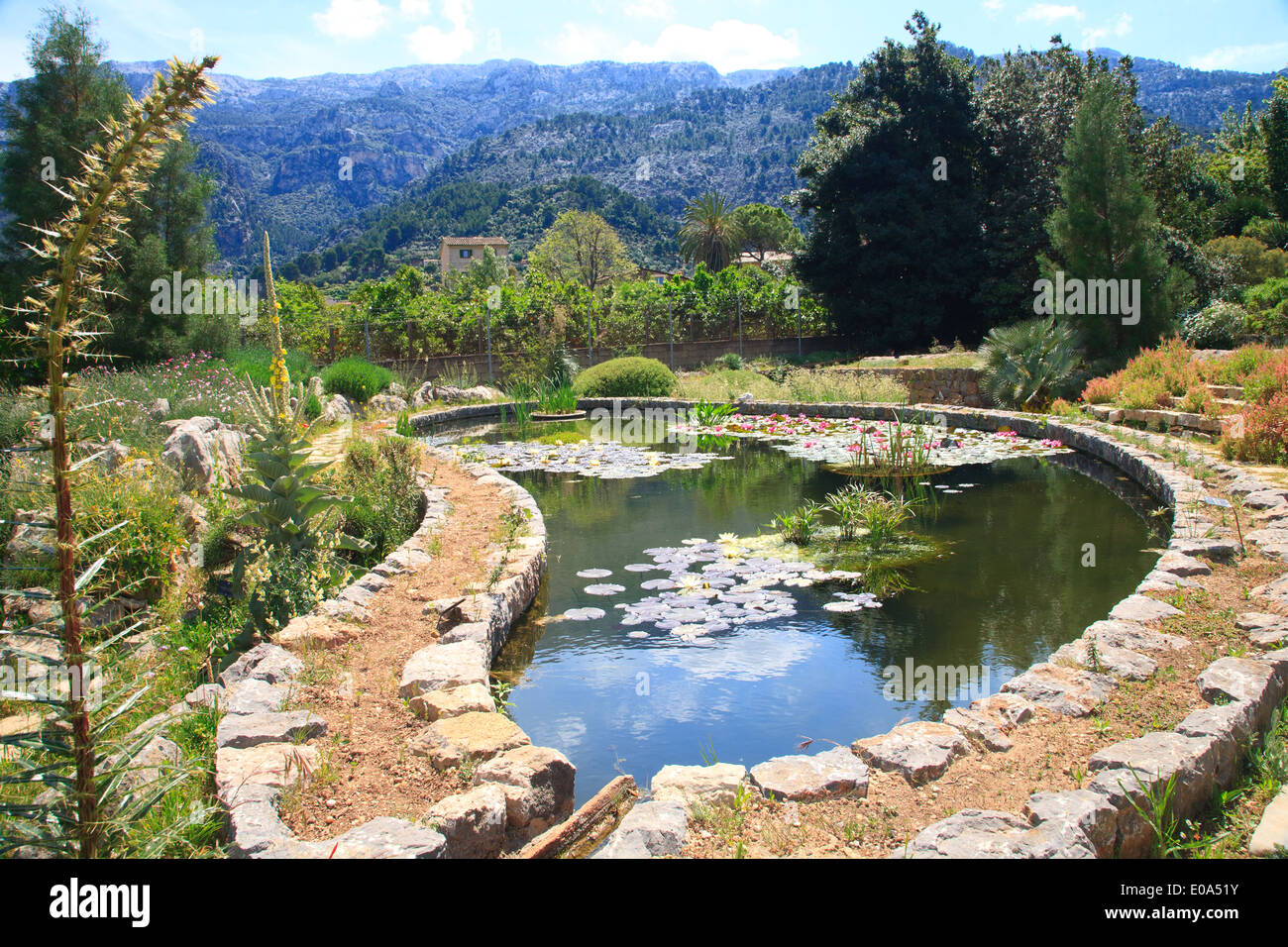 Der Botanische Garten (Jardi botanic) in Soller, Mallorca, Spanien, mit Bergen im Hintergrund. Stockfoto