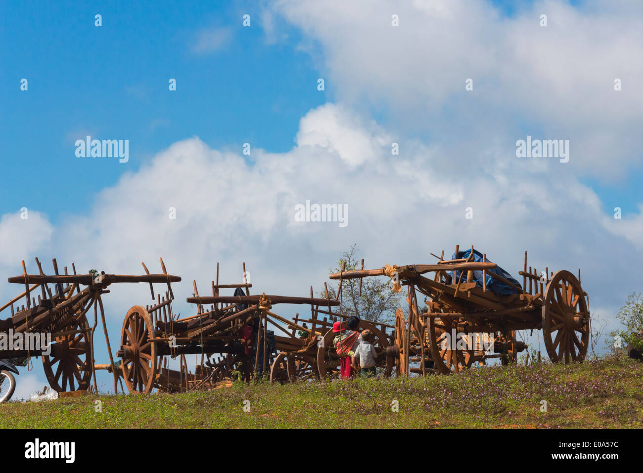 Ochsenkarren auf Ackerland, Shan State in Myanmar Stockfoto