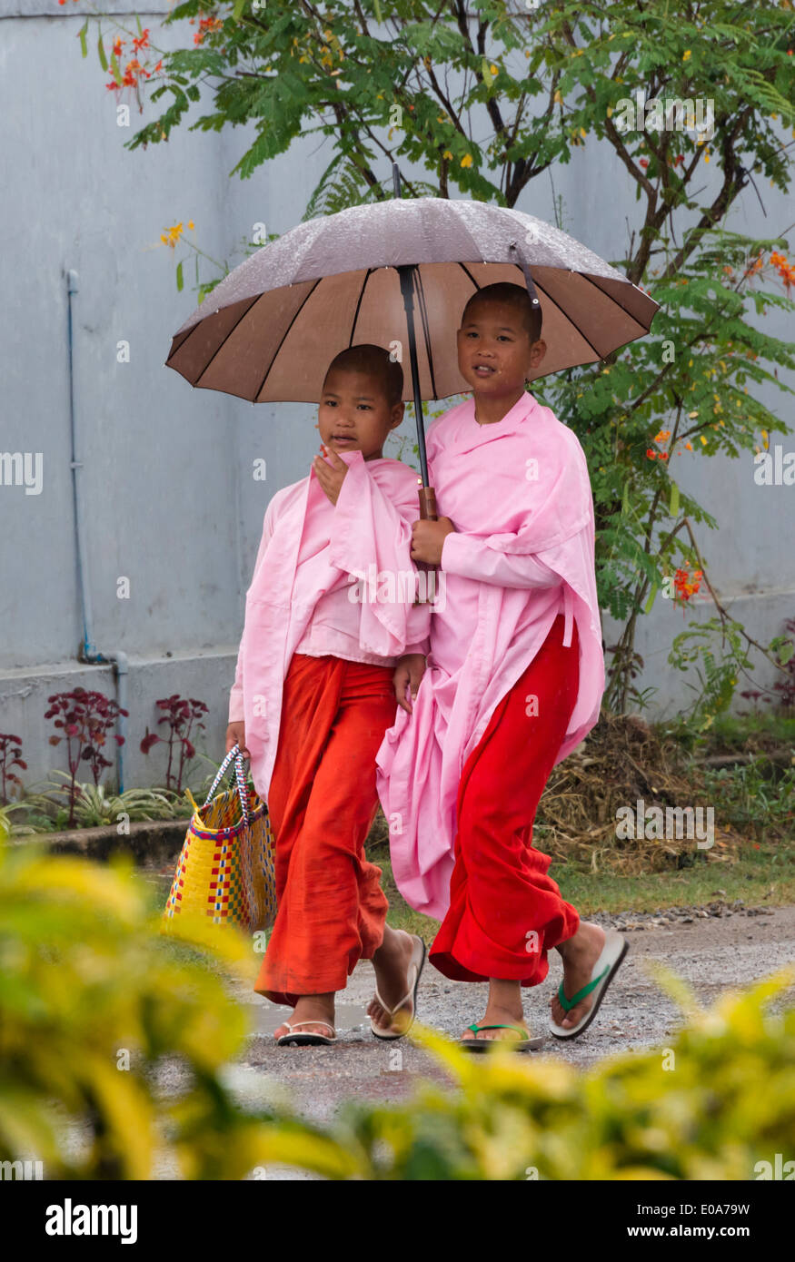 Nonnen mit Regenschirm, Inle-See, Shan State in Myanmar Stockfoto