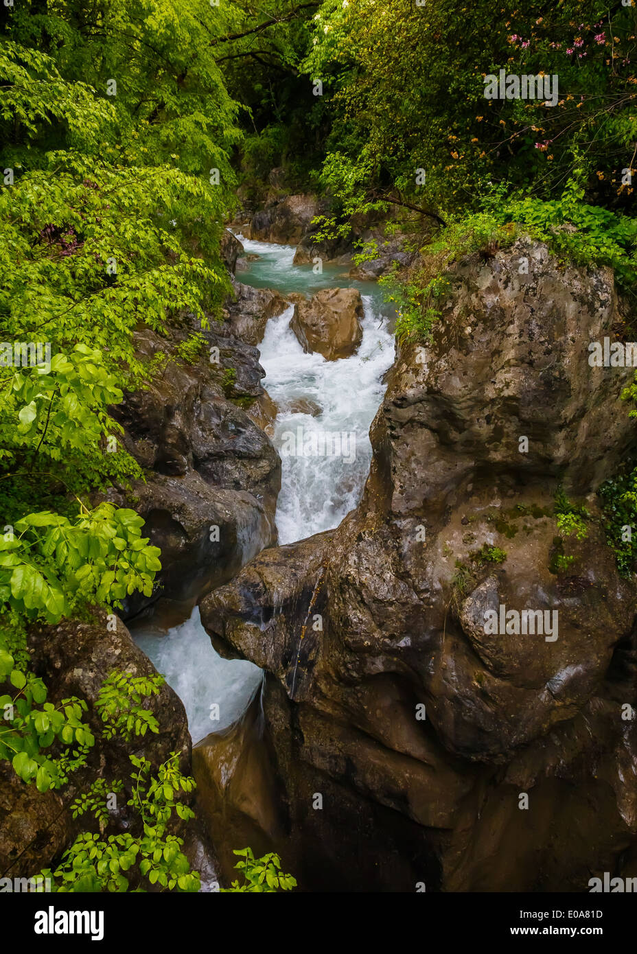 Heftige Flusswasser durch bemoosten Felsen im Wald in Griechenland Stockfoto