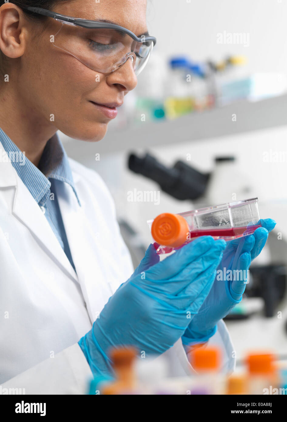 Weibliche Zellbiologe hält ein Fläschchen mit Stammzellen, kultiviert in roten Wachstumsmedium, um Krankheit zu untersuchen Stockfoto