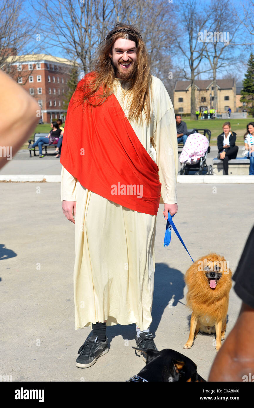 Bilder vom jährlichen 420 pro Cannabis Tag in London, Ontario am 20. April 2014 statt. Stockfoto