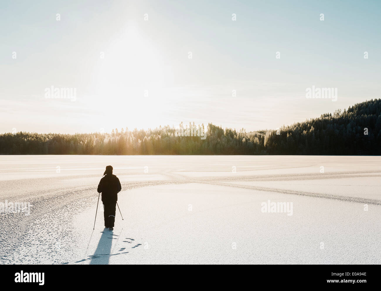 Reifer Mann nordic walking durch Schnee bedeckt Feld Stockfoto