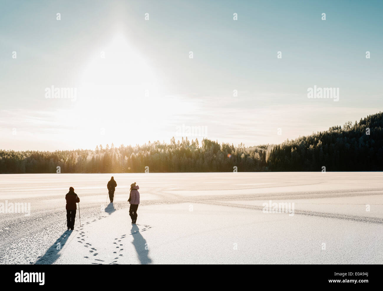 Drei Menschen nordic walking durch Schnee überdachten Bereich Stockfoto