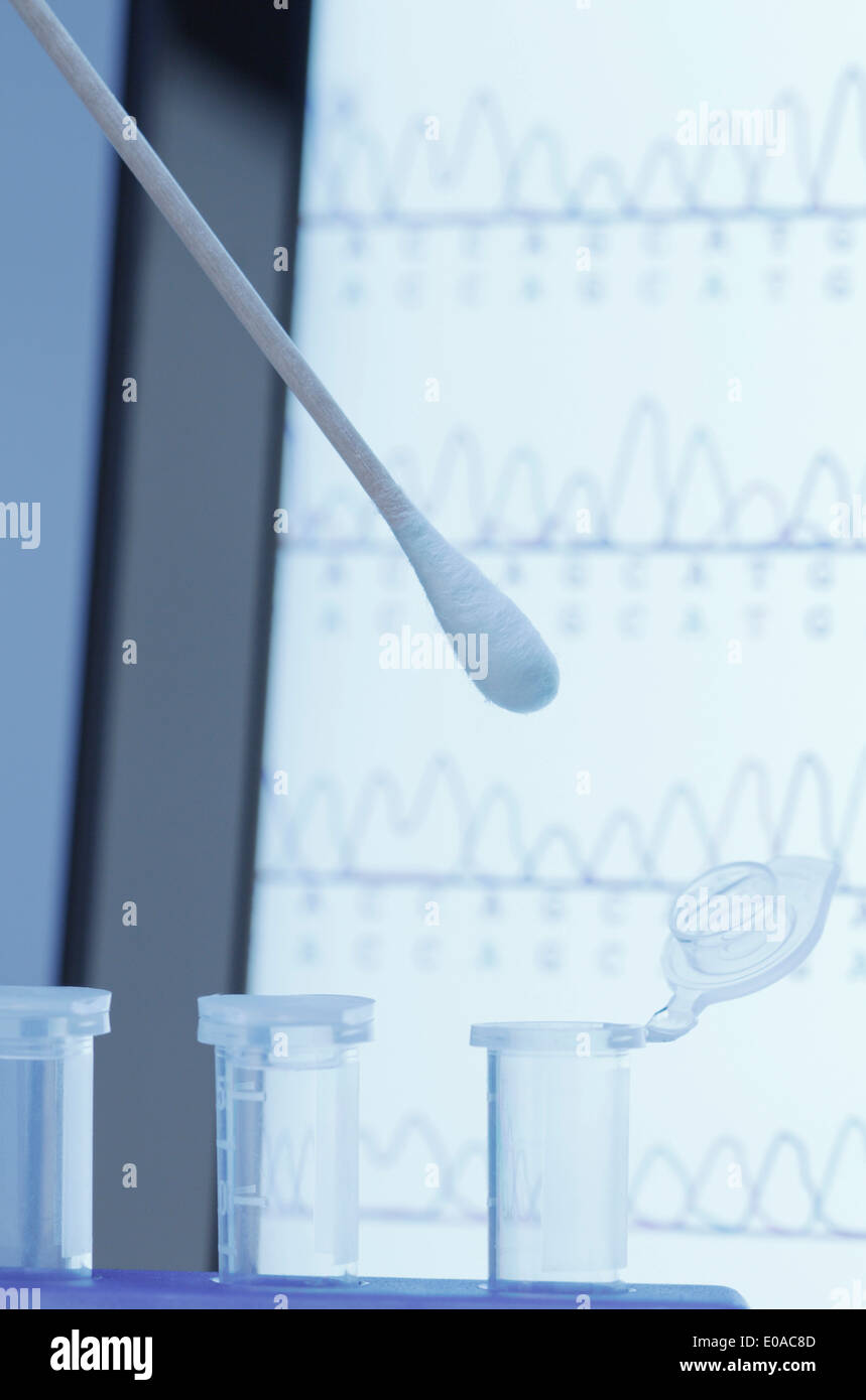 Wattestäbchen mit Speichel über Mikrozentrifugenröhrchen Stockfoto