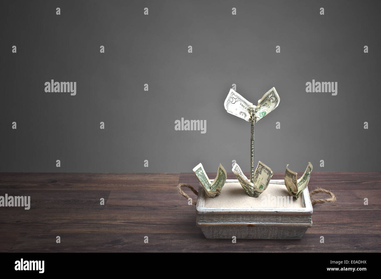 Geld-Anlagen in einem Blumentopf Stockfoto