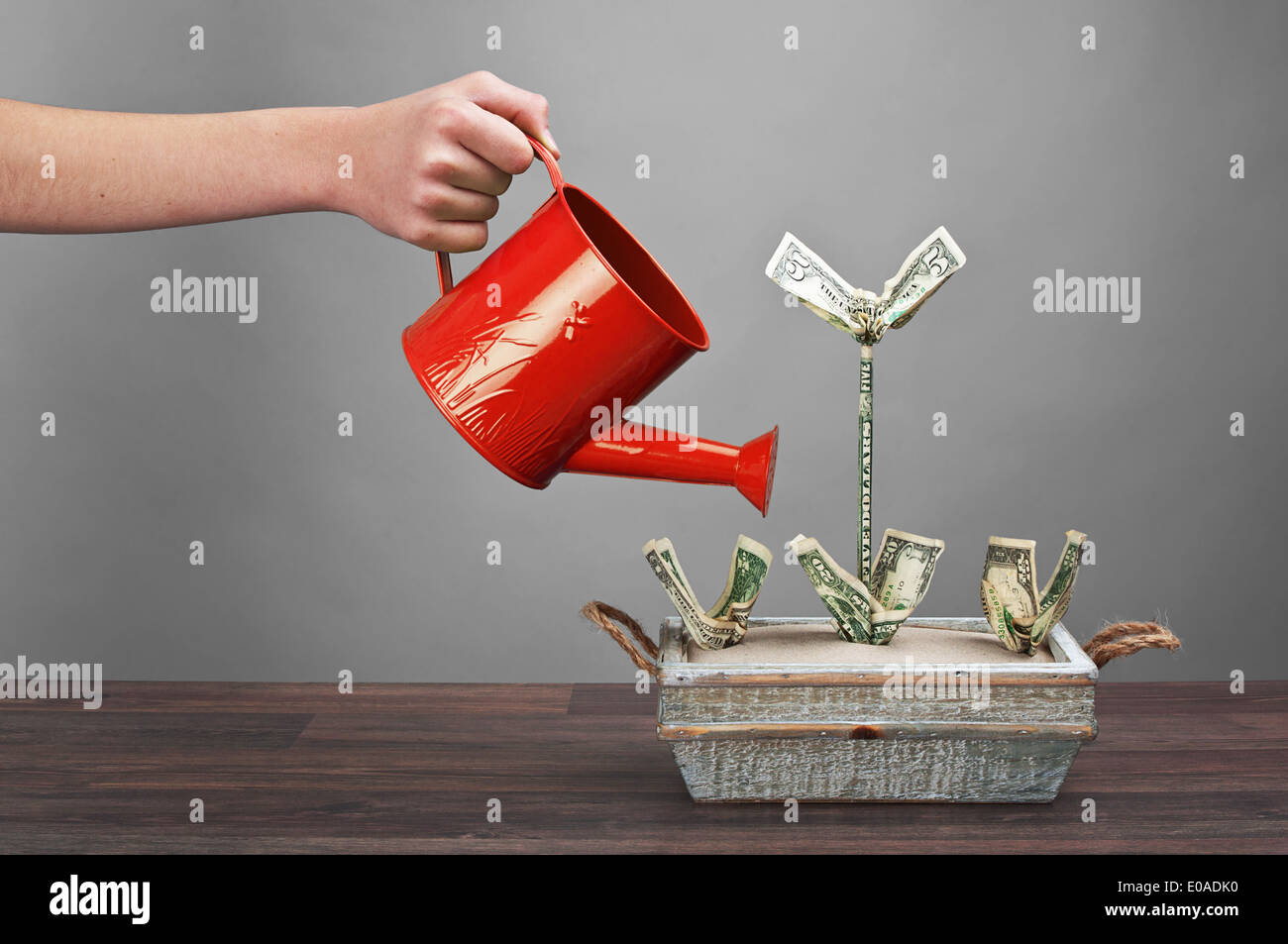 Arm mit Gießkanne gießen "Dollar - Anlagen" - Geld-Konzept Stockfoto