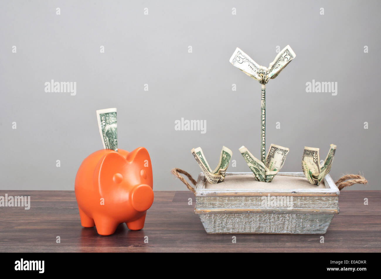 Einsparungen-Konzept - Sparschwein und Geldbaum mit Dollarnoten Stockfoto