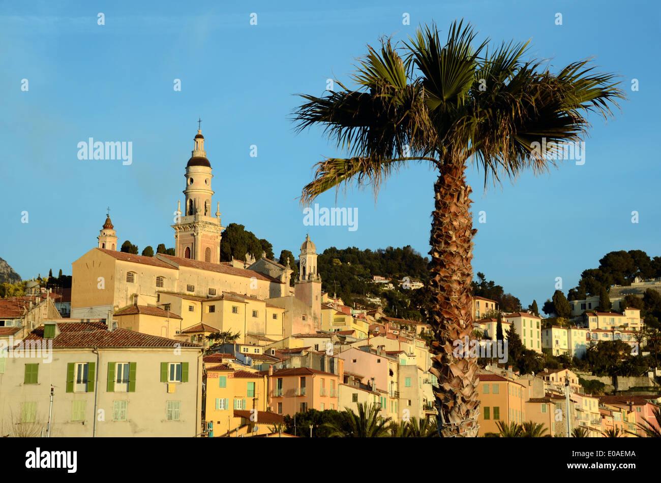 Skyline & Blick auf die Altstadt oder historischen Bezirk mit Palm Tree Nice Alpes-Maritimes Frankreich Stockfoto