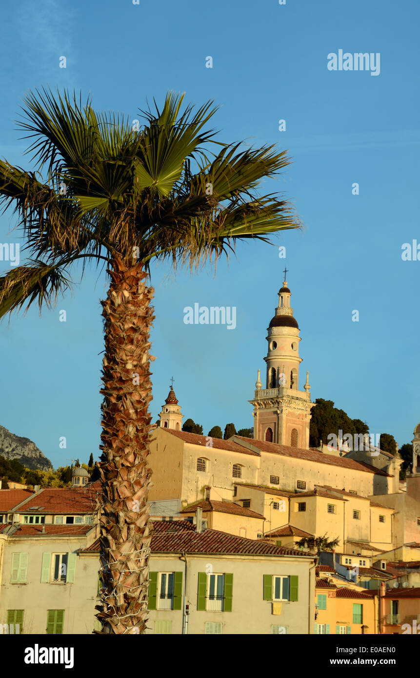 Blick auf Altstadt mit Kathedrale Glockenturm & Palm Tree Menton Alpes-Maritimes Côte d ' Azur Frankreich Stockfoto