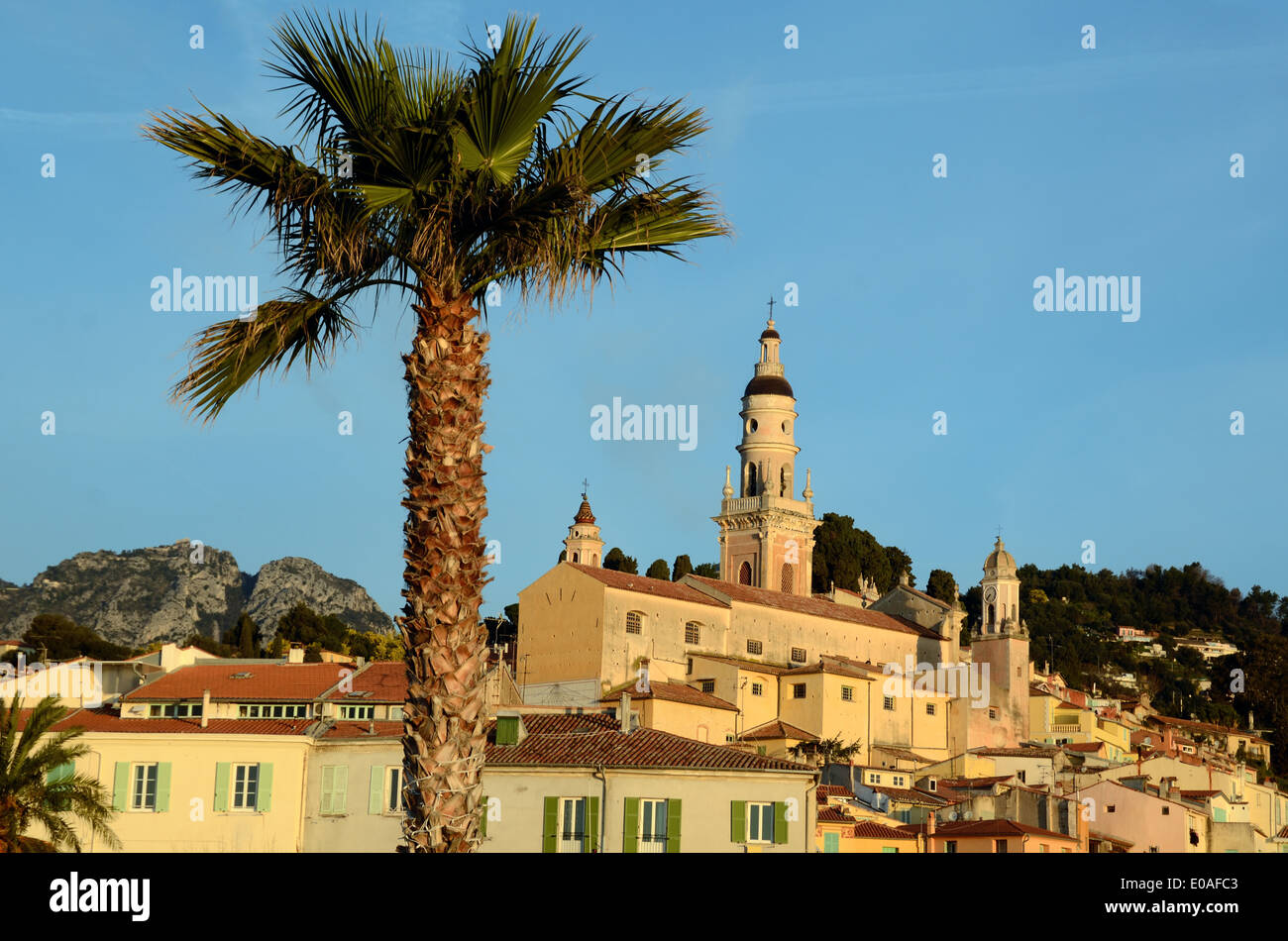 Sonnenaufgang über der Altstadt oder die alte Stadt mit Palme Nice Alpes-Maritimes Frankreich Stockfoto