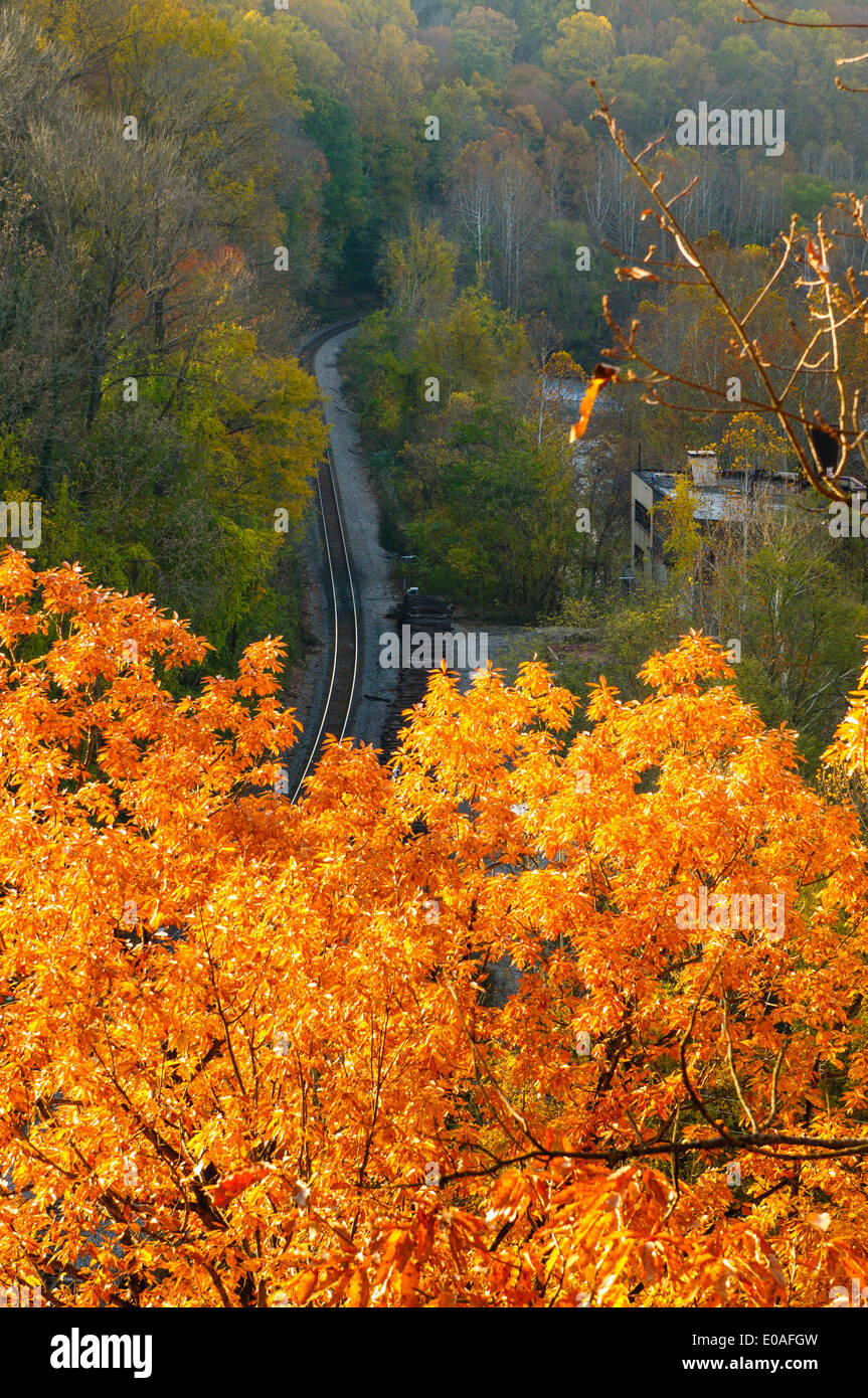 Herbstlaub und Blick auf Eisenbahnschienen, Patapso River Valley State Park, Maryland. Stockfoto