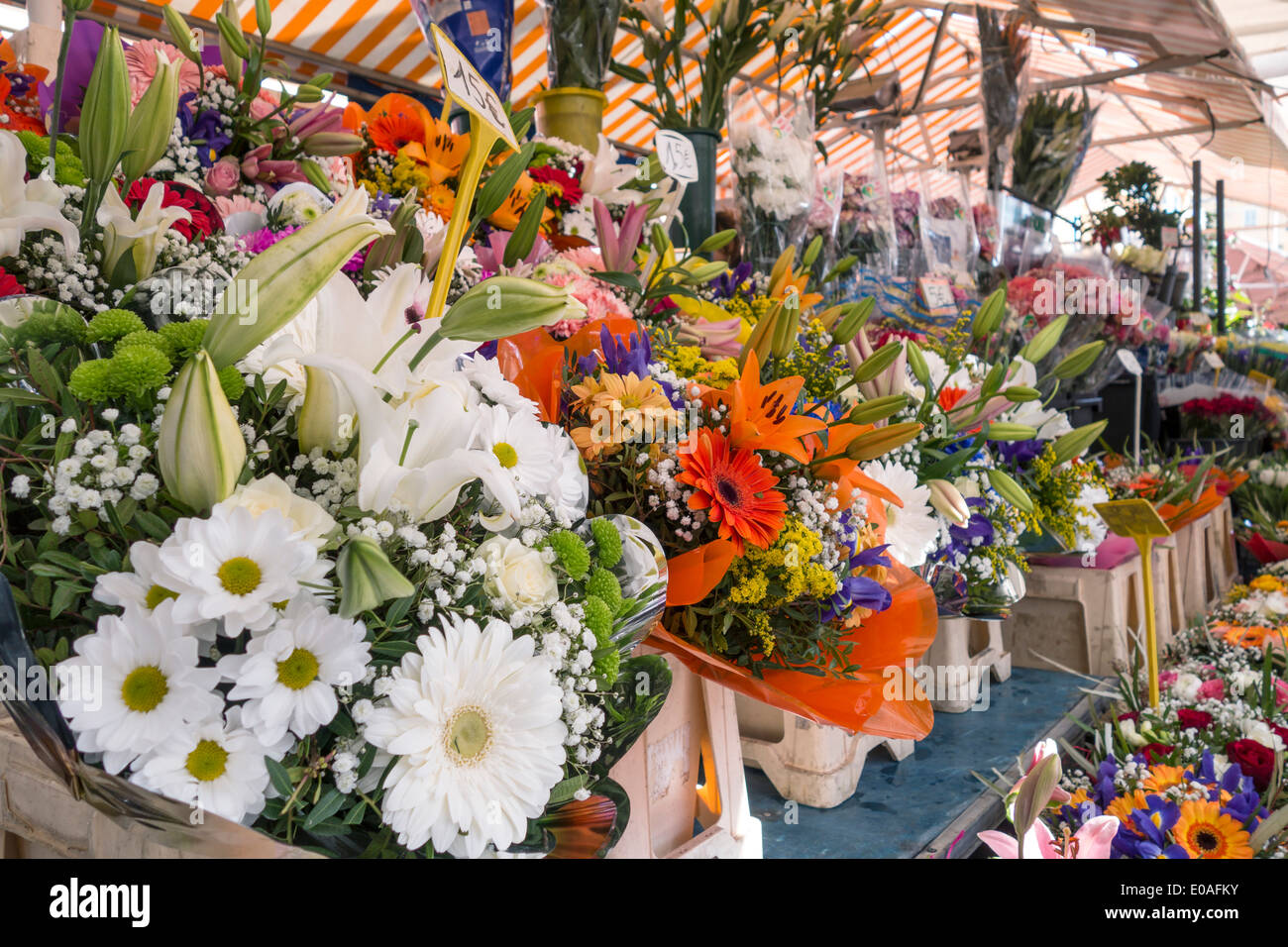 Blumenmarkt Cours Saleya, Nizza, Alpes-Maritimes, Provence, Côte d ' Azur, Mittelmeer, Frankreich, Europa, Stockfoto
