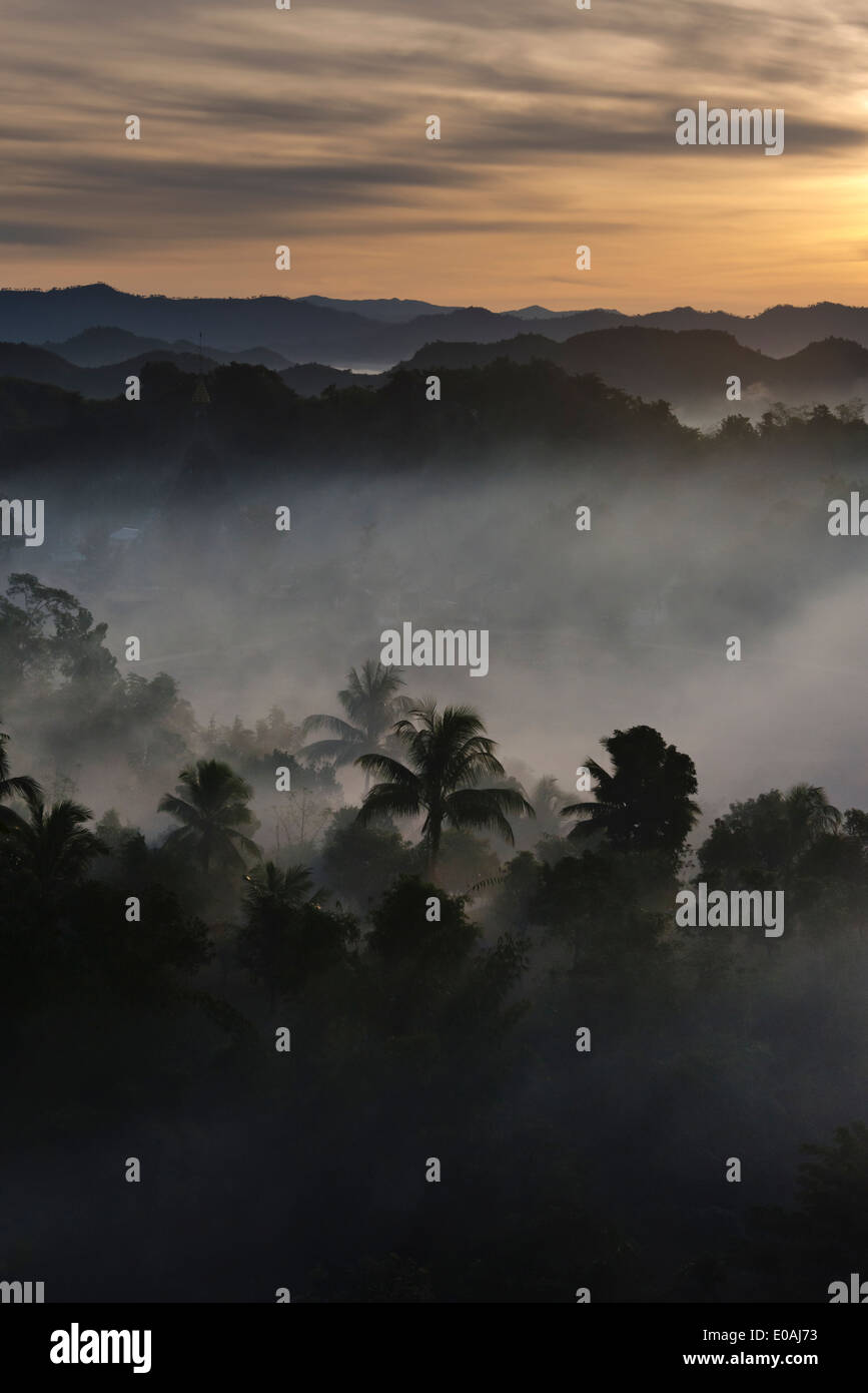 Antike Tempel und Pagoden in den Dschungel im morgendlichen Nebel bei Sonnenaufgang, Mrauk-U, Rakhine State in Myanmar Stockfoto