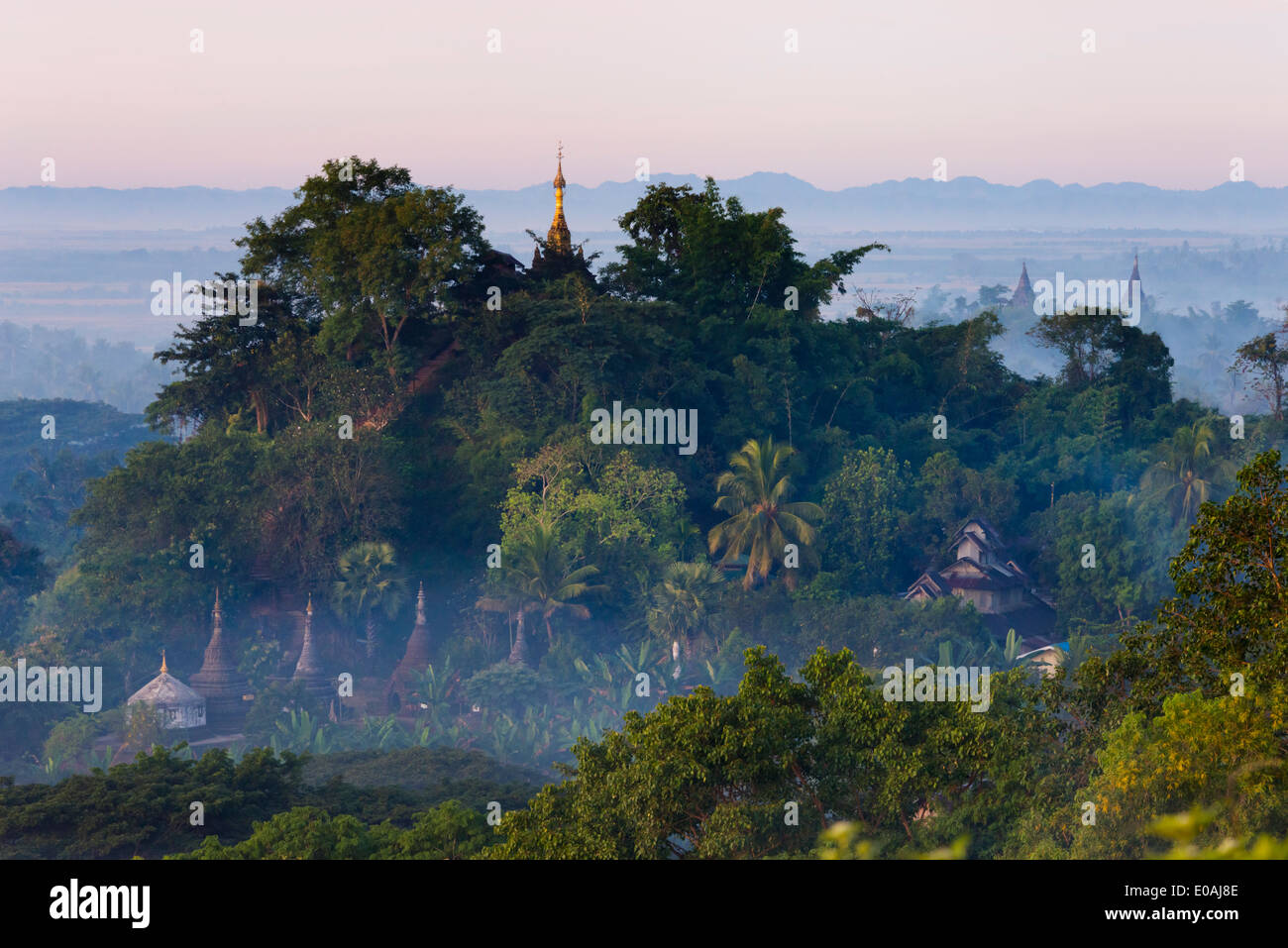 Antike Tempel und Pagoden in den Dschungel im morgendlichen Nebel bei Sonnenaufgang, Mrauk-U, Rakhine State in Myanmar Stockfoto