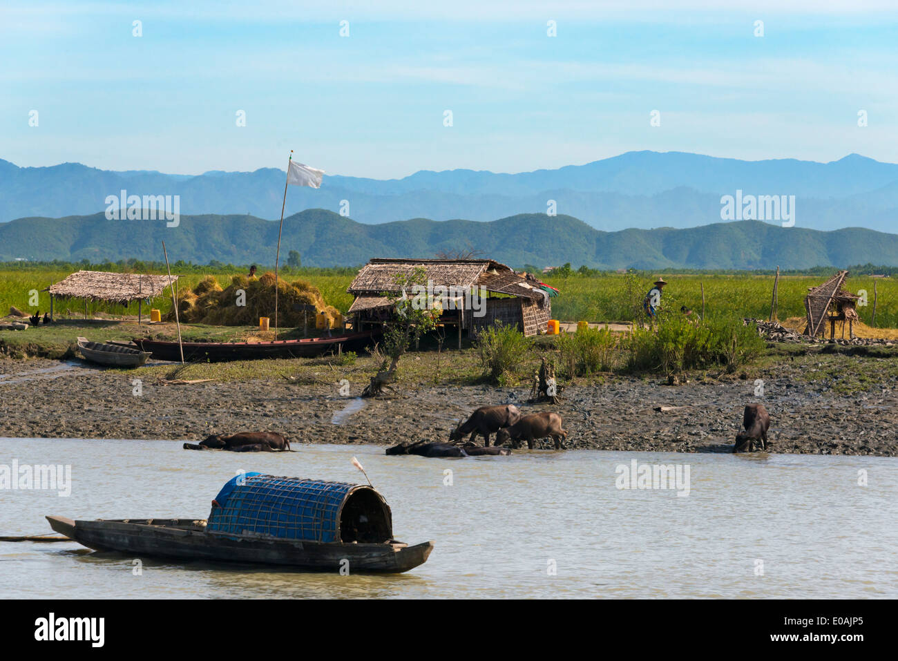 Dorf und Boot am Ufer des Kaladan River, Sittwe, Rakhine State in Myanmar Stockfoto