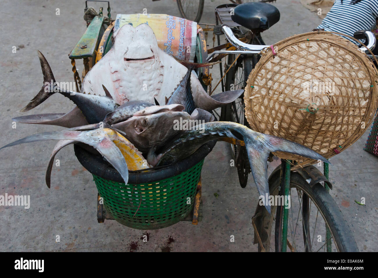 Markt, Sittwe, Rakhine State in Myanmar Stockfoto