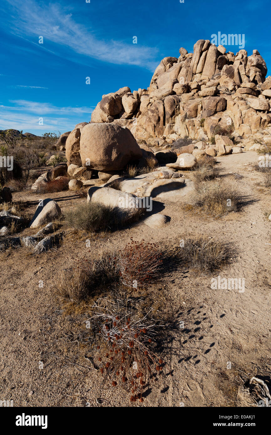 Joshua Tree NP, Kalifornien, USA. Stockfoto