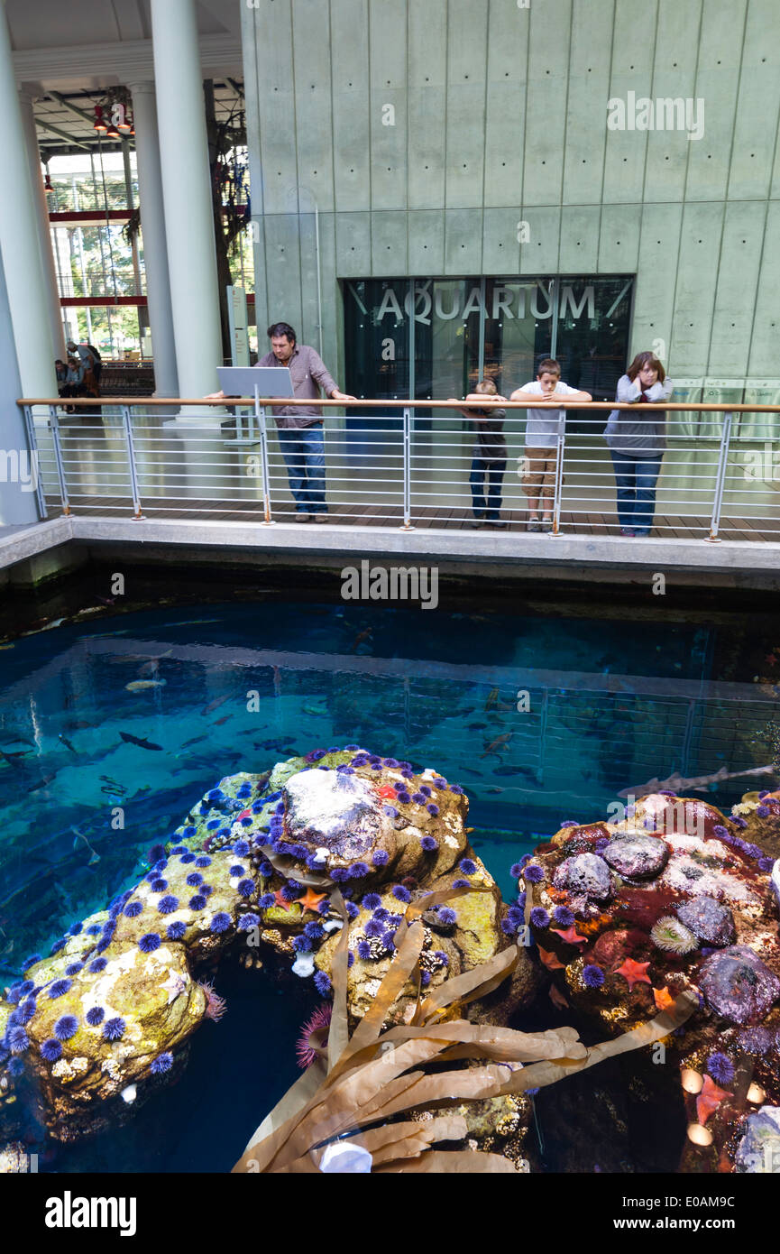 California Academy of Sciences, Golden Gate Park, San Francisco, Kalifornien, USA Stockfoto