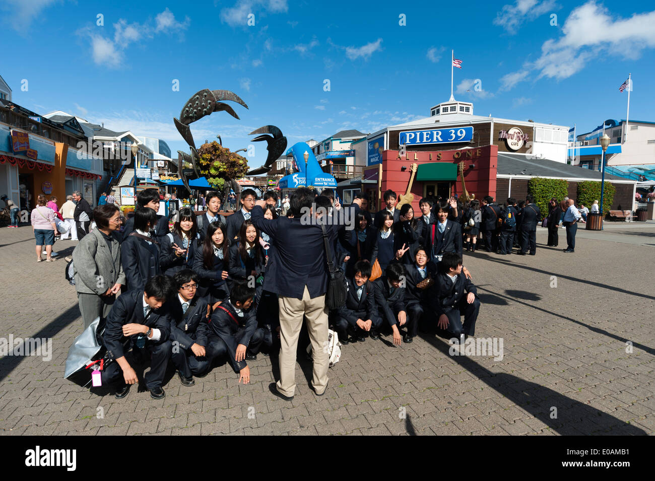 Pier 39, San Francisco, San Francisco, Kalifornien, USA Stockfoto