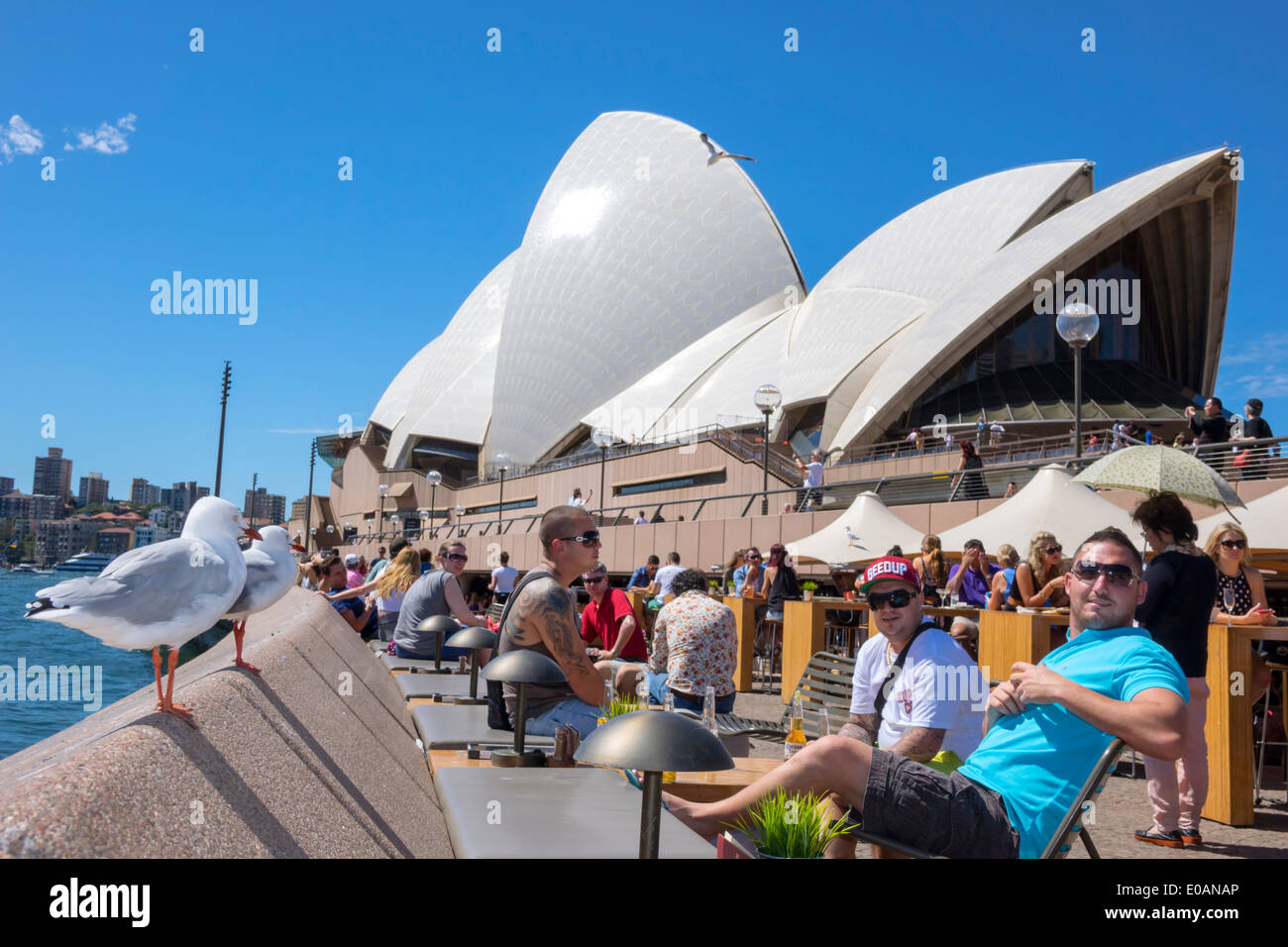 Sydney Australia, New South Wales, Sydney Harbour, Harbour, East Circular Quay, Sydney Opera House, Promenade, Opera Bar, Restaurant Restaurants Essen und Trinken Stockfoto