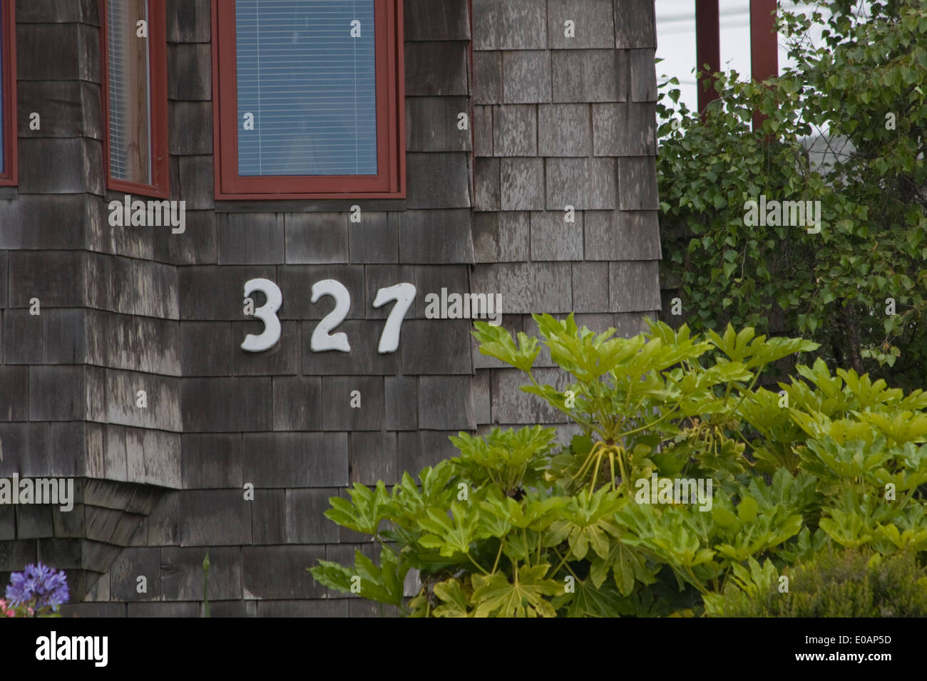 327 - Nummer auf der Seite Haus in Pacific Grove, Kalifornien Stockfoto