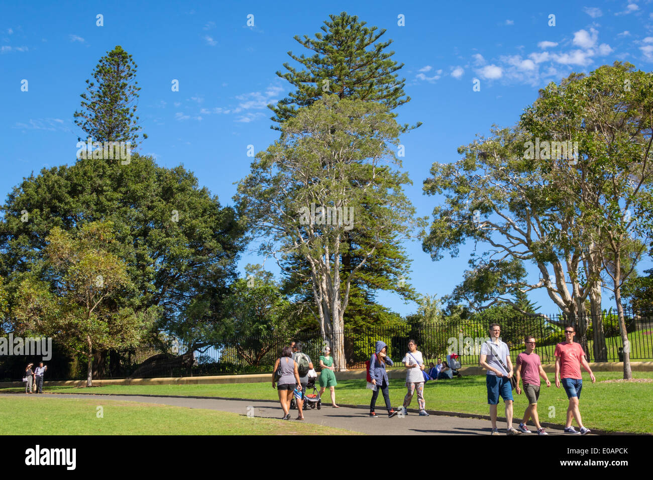Sydney Australien, New South Wales, Royal Botanic Gardens, Erwachsene Erwachsene Männer Männer Männer, Frau Frauen Frauen Dame, Familien Eltern Eltern Kinder Stockfoto