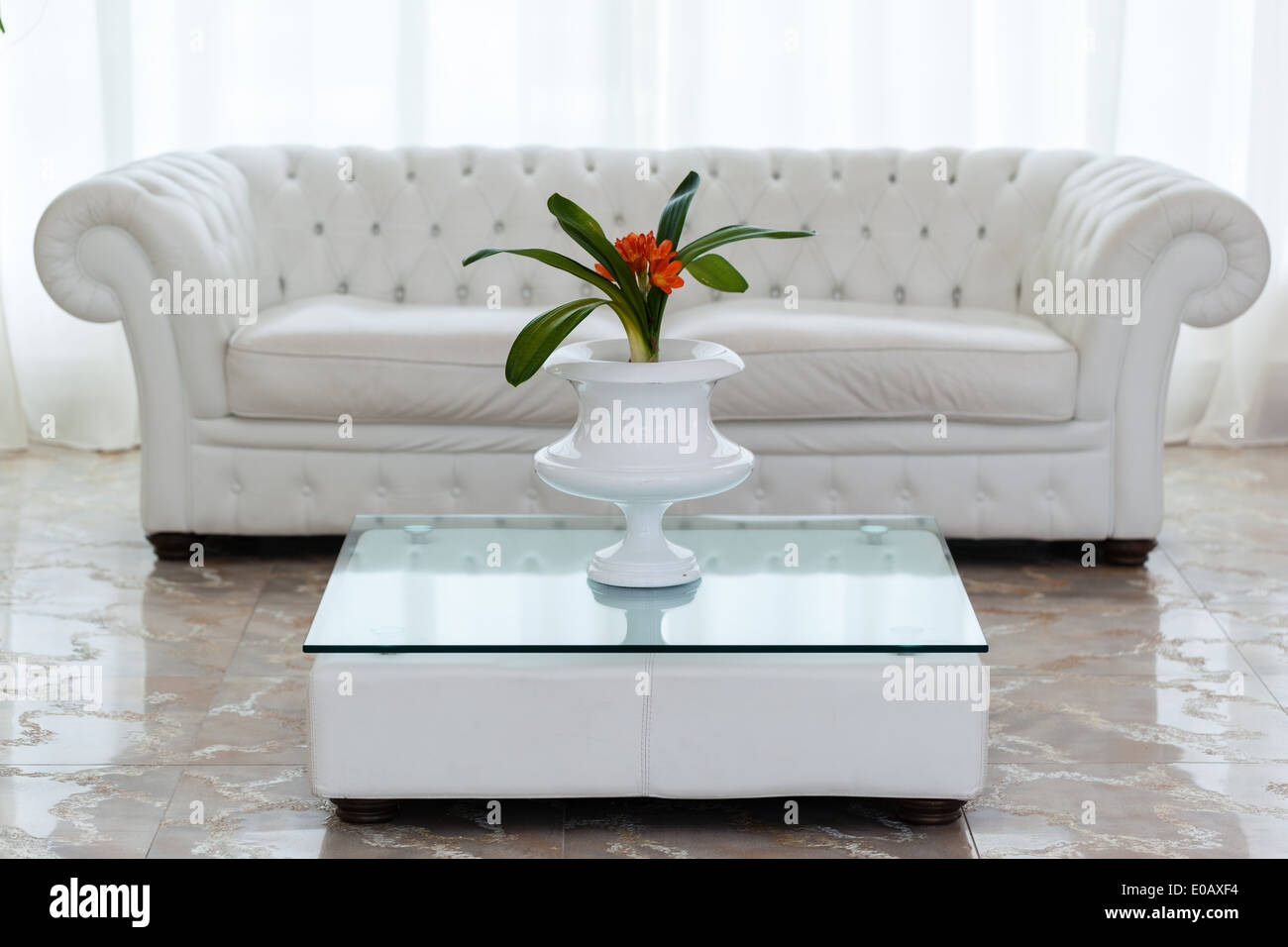 eine schöne Topfpflanze mit orangen Blüten auf einem minimalen Tisch und ein weißes und gemütlichen sofa Stockfoto