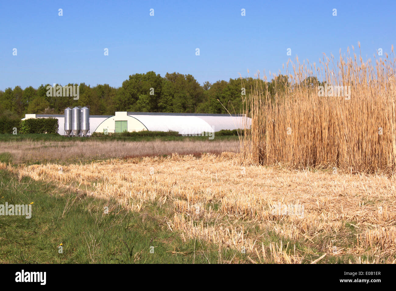 Boden Sie für eine ökologische Landwirtschaft mit seinen Bauernhof-Geflügel-Industrie unter freiem Himmel Stockfoto