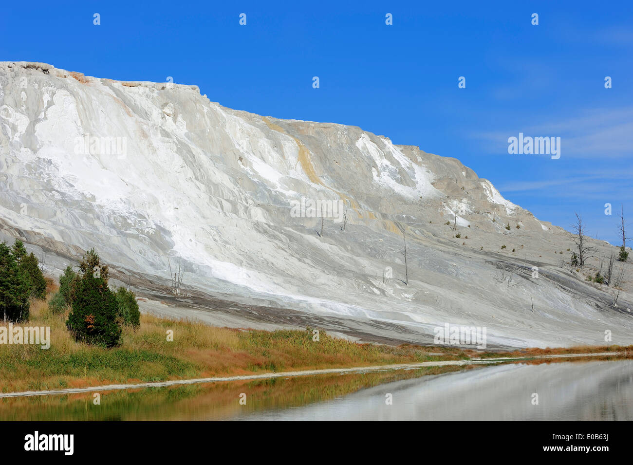 Travertin Terrasse Kanarischen Frühling, Mammoth Hot Springs, Yellowstone-Nationalpark, Wyoming, USA Stockfoto