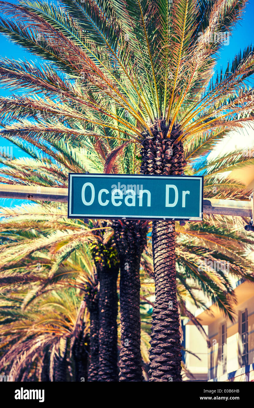 Ocean Drive Straßenschild mit Palme in Miami Beach Stockfoto