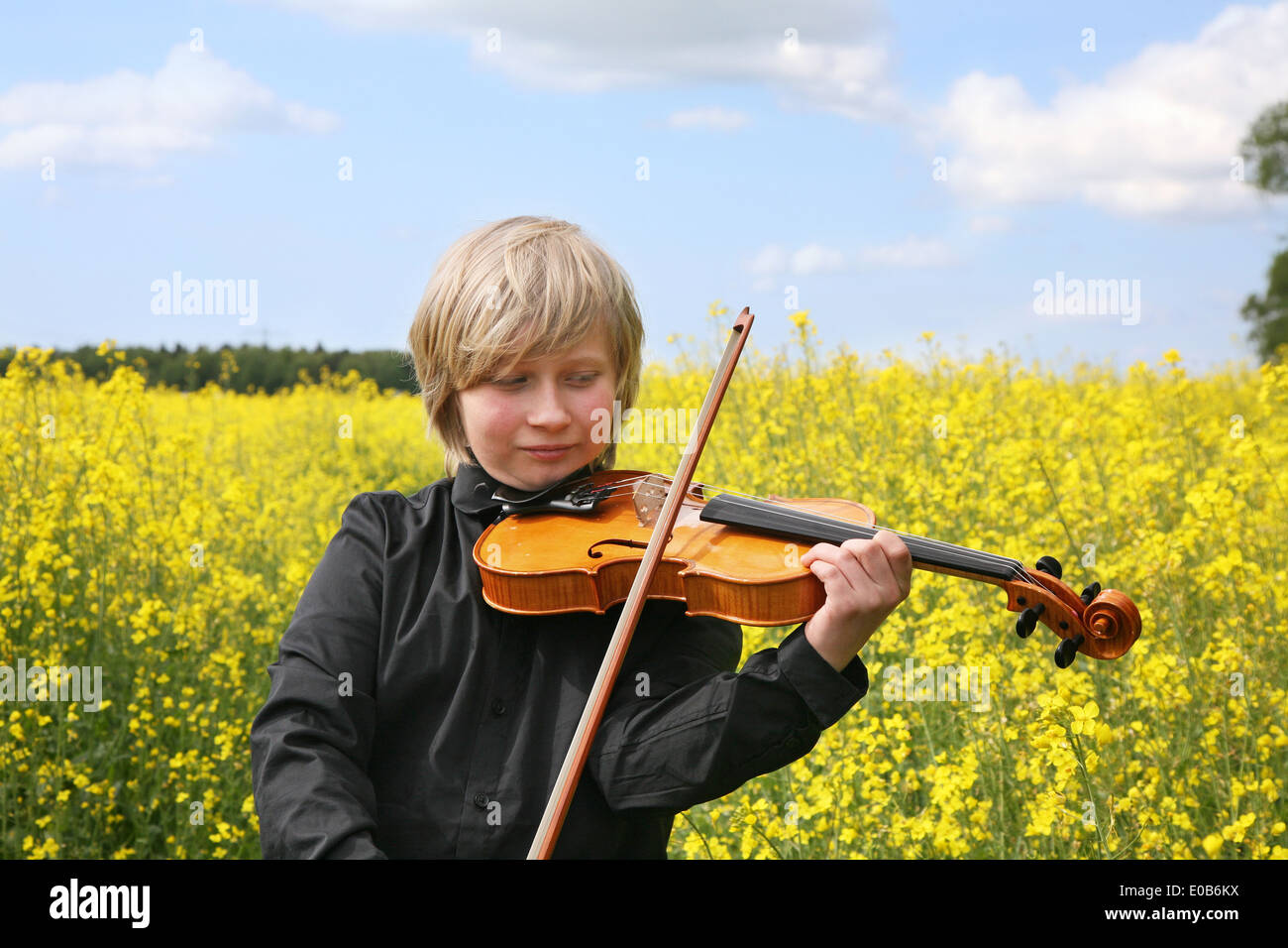 Teenager mit Geige im Rapsfeld Stockfoto