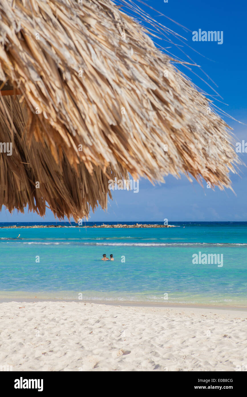Zwei Menschen schwimmen aus Palm Beach, Aruba, kleine Antillen, Karibik Stockfoto